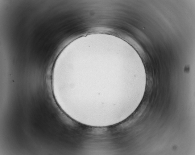 X0000103421055200810241030