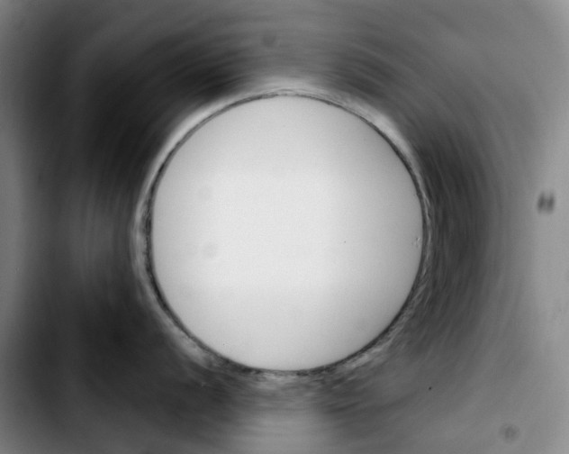 X0000103421056200810241030