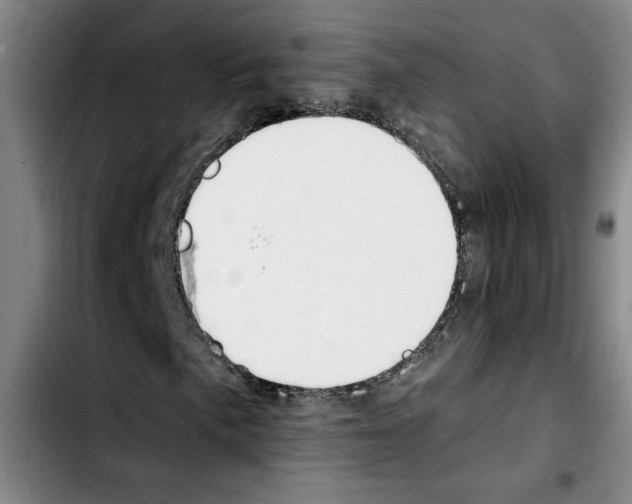 X0000103421057200810241029