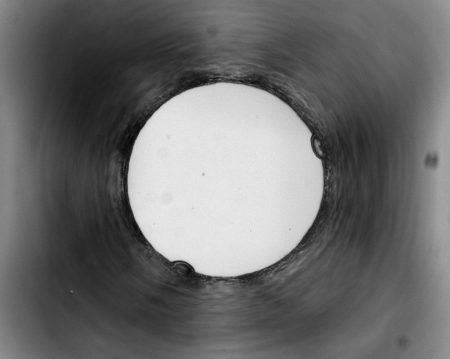 X0000103421058200810241029