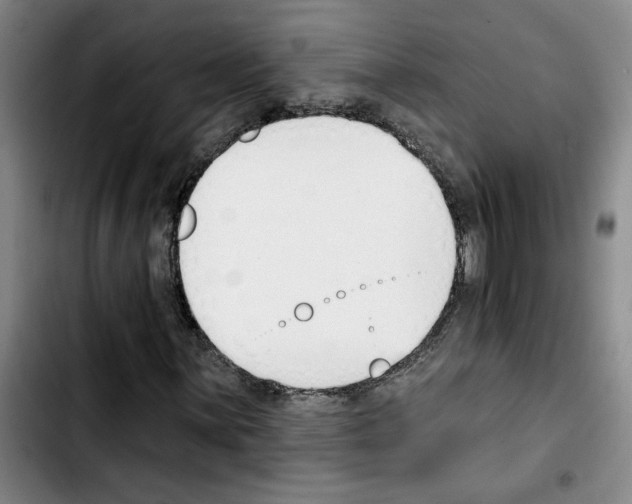 X0000103421059200810241029