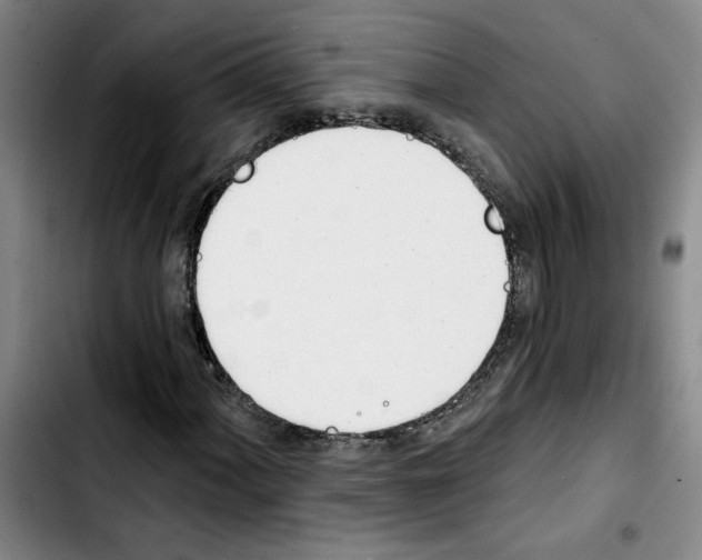 X0000103421060200810241029