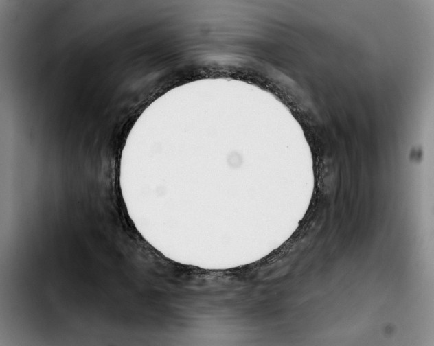 X0000103421061200810241029