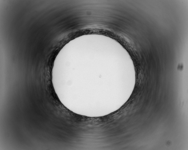 X0000103421062200810241029