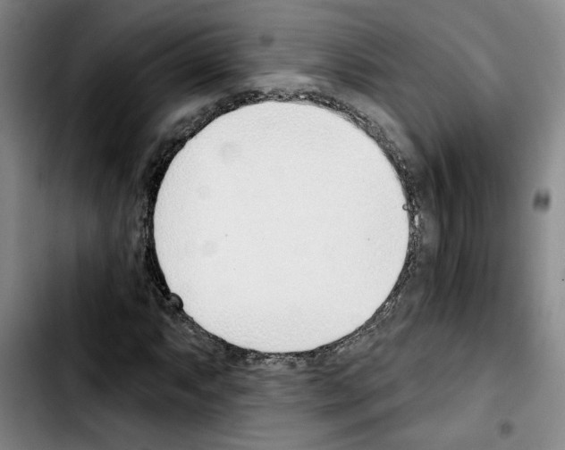 X0000103421063200810241029
