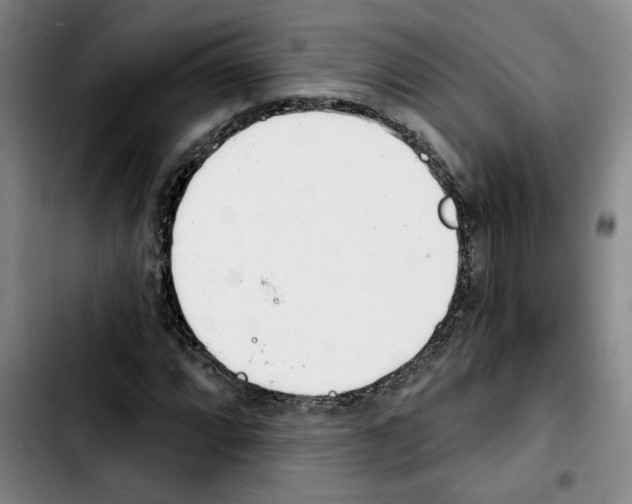 X0000103421064200810241029