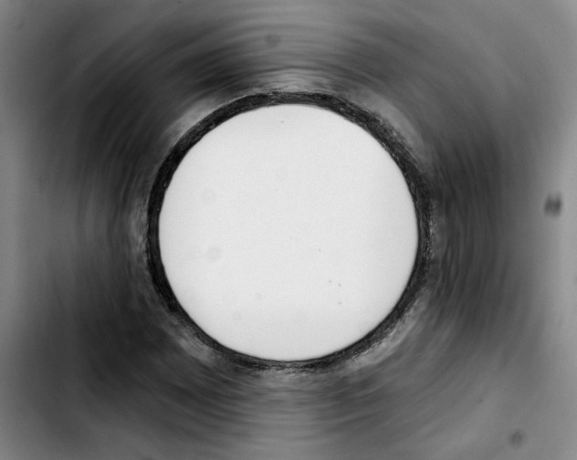 X0000103421065200810241029