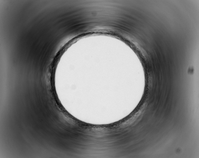 X0000103421066200810241029