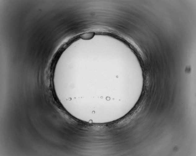 X0000103421067200810241029