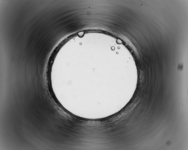 X0000103421068200810241029