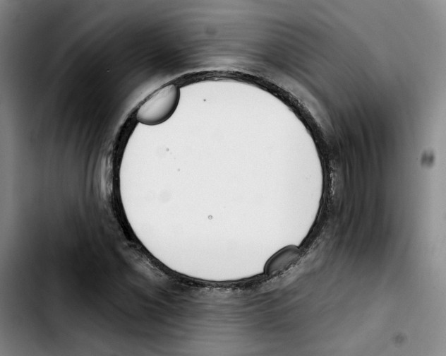 X0000103421069200810241029