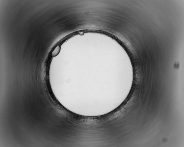 X0000103421070200810241029
