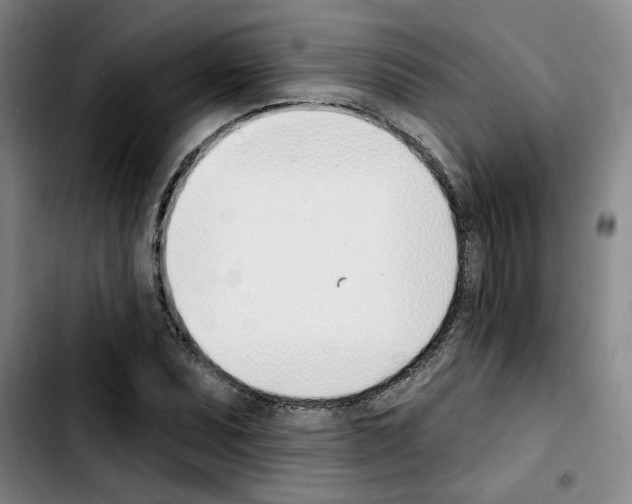 X0000103421071200810241029