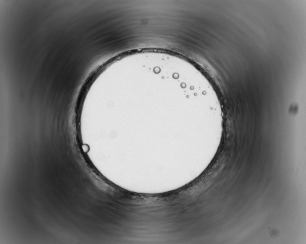 X0000103421072200810241029