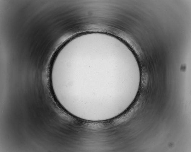 X0000103421074200810241029