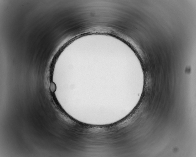 X0000103421075200810241029