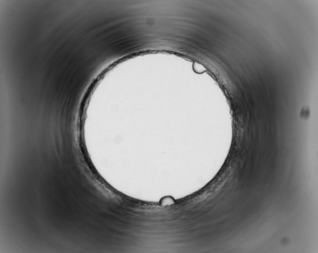 X0000103421076200810241029