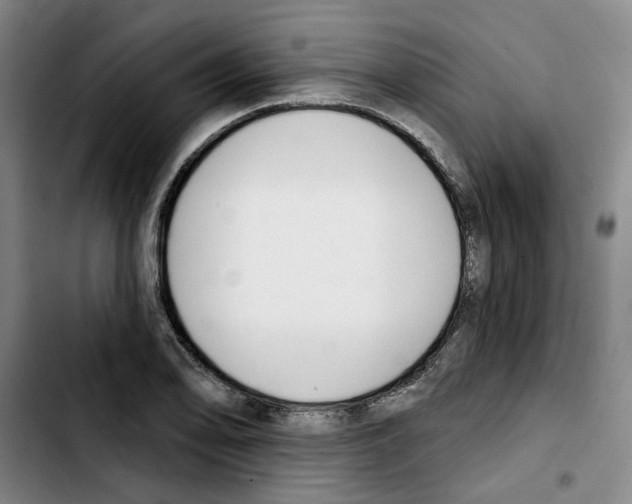 X0000103421078200810241029