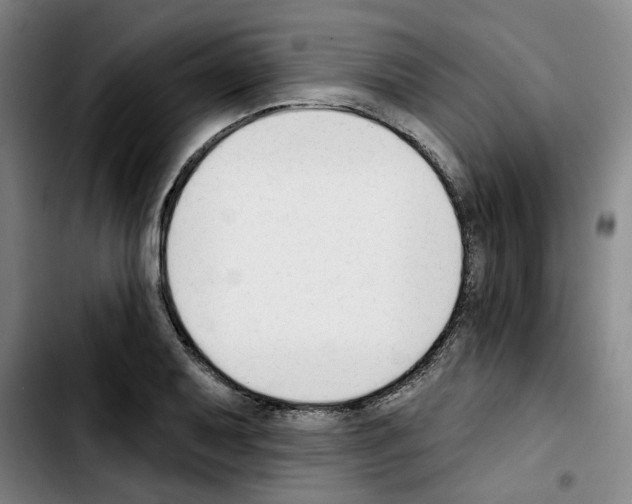 X0000103421079200810241029