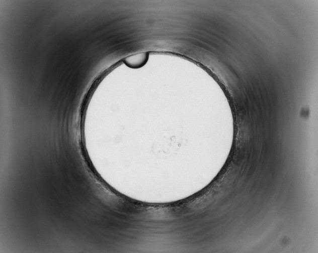 X0000103421080200810241028