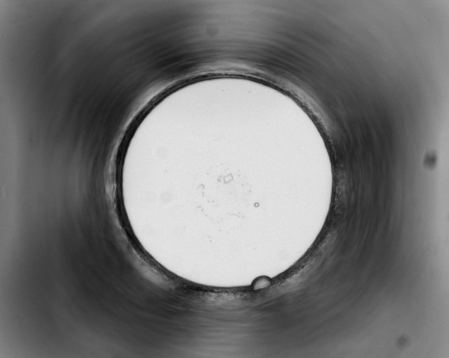 X0000103421082200810241028
