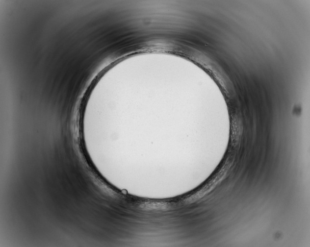 X0000103421083200810241028