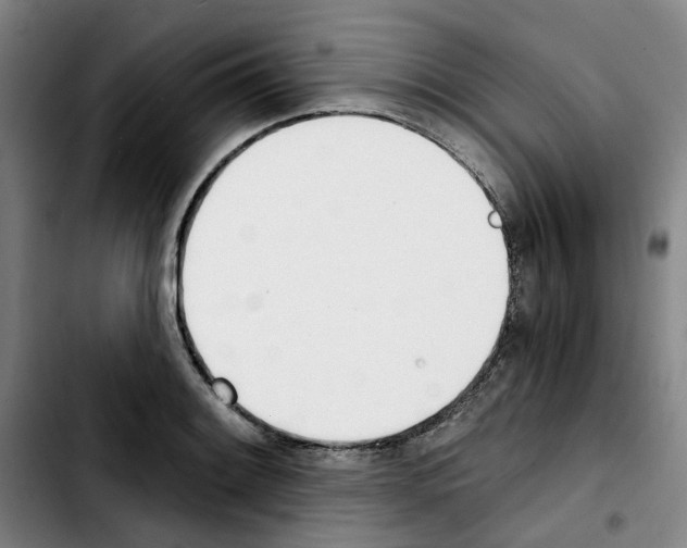 X0000103421084200810241028