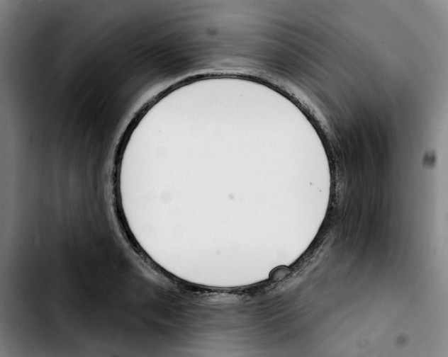 X0000103421085200810241028