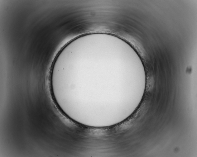 X0000103421086200810241028