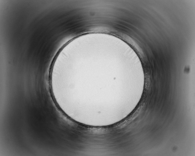 X0000103421087200810241028