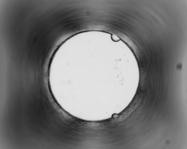 X0000103421088200810241028