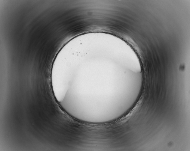X0000103421089200810241028