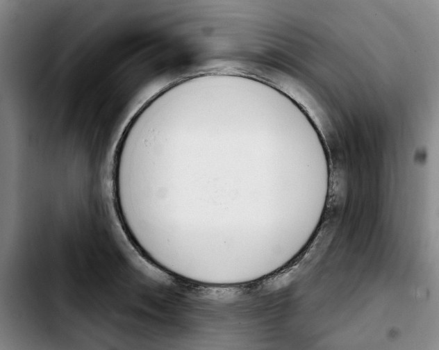X0000103421090200810241028