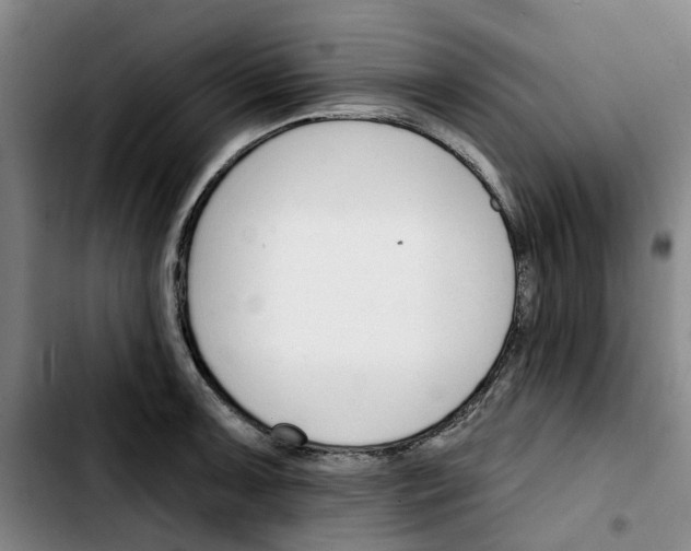 X0000103421091200810241028