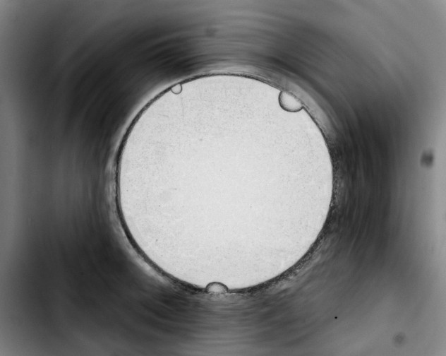 X0000103421092200810241028
