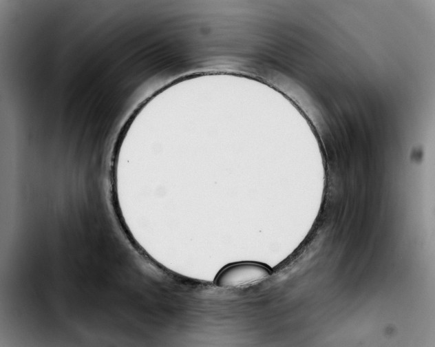 X0000103421093200810241028