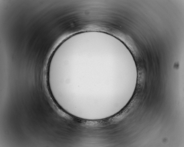 X0000103421094200810241028