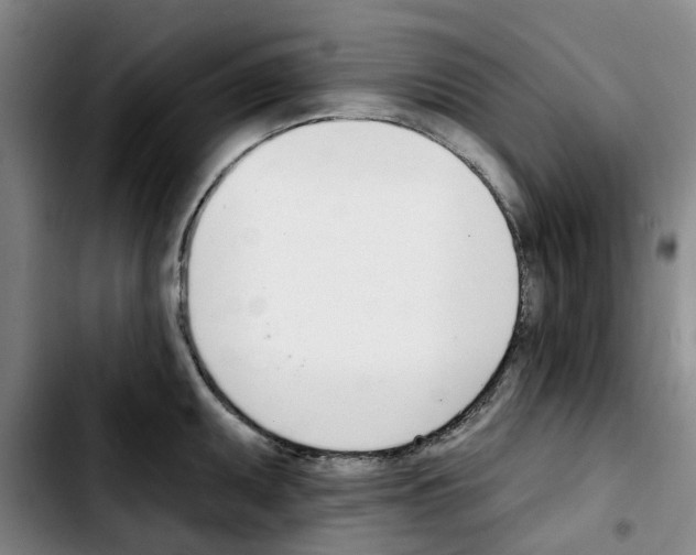 X0000103421095200810241028