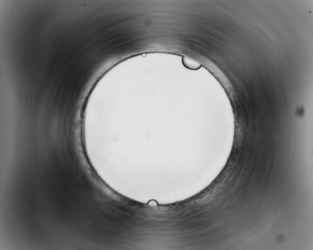 X0000103421096200810241028