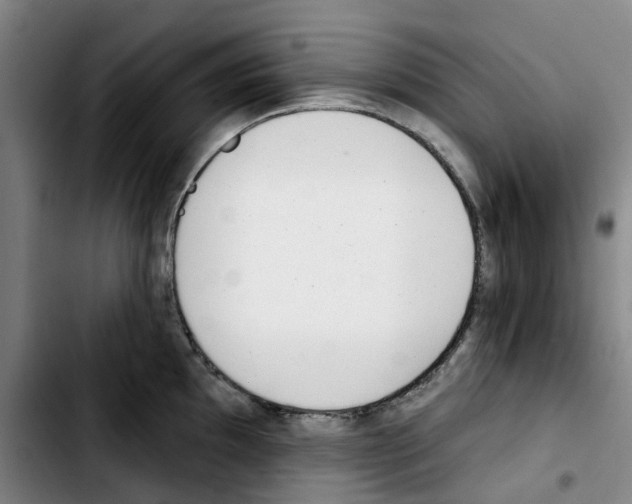 X0000103421097200810241028