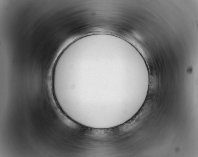 X0000103421098200810241028