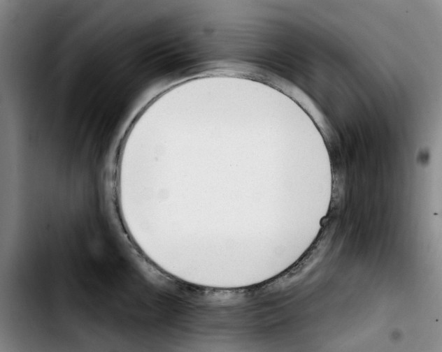 X0000103421099200810241028