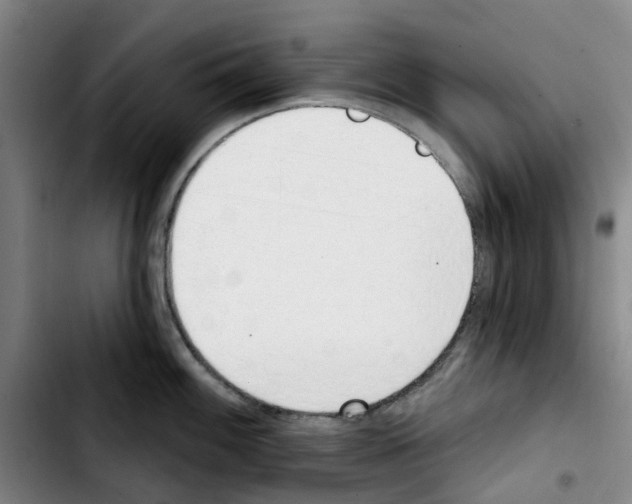 X0000103421100200810241028