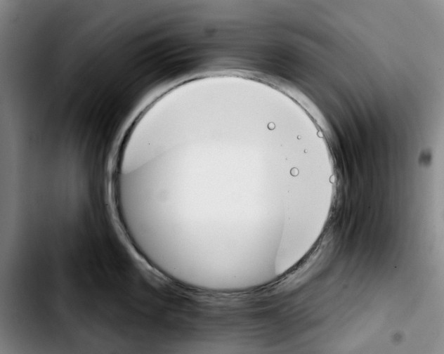 X0000103421101200810241028
