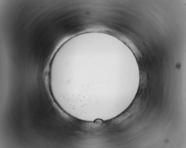 X0000103421103200810241028