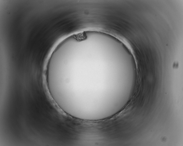 X0000103421104200810241028