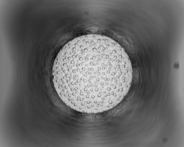 X0000103421105200810241027