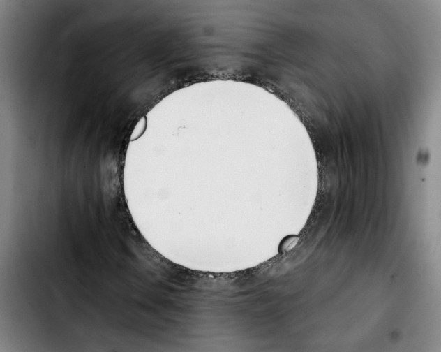 X0000103421106200810241028