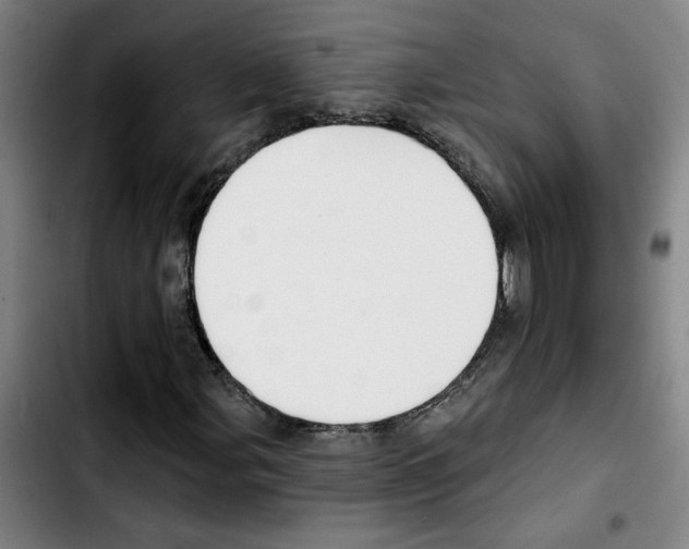 X0000103421107200810241028