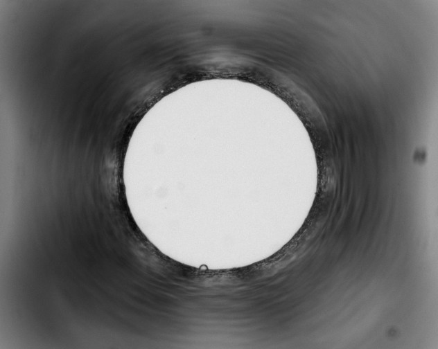 X0000103421108200810241028